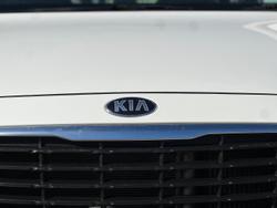 2019 Kia
                Carnival S