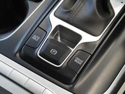 2021 Kia
                Carnival S