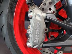 2025 Ducati Monster + 937 Monster Grey