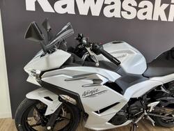 2025 Kawasaki NINJA 500 METALLIC MOONDUST GREY