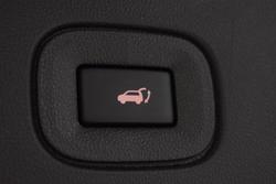 2024 Renault Koleos Intens HZG MY24 Metallic Black