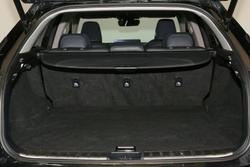 2021 Lexus
RX RX300 Crafted Edition