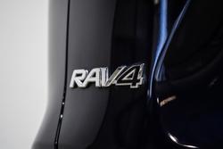 2019 Toyota
                RAV4 Cruiser