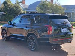 2025 Hyundai
                Palisade Calligraphy Black Ink