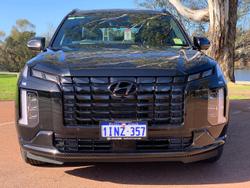2025 Hyundai
                Palisade Calligraphy Black Ink