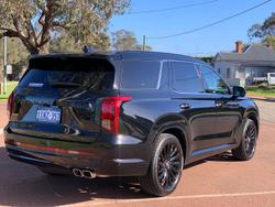 2025 Hyundai
                Palisade Calligraphy Black Ink