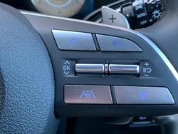 2025 Hyundai
Palisade Calligraphy Black Ink