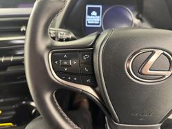 2021 Lexus UX 200 Luxury MZAA10R Titanium
