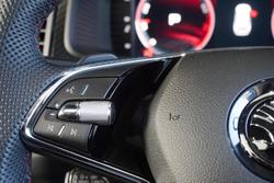 2024 SKODA
                Kodiaq RS