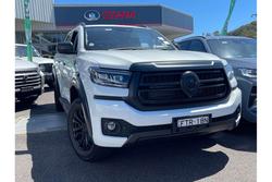 2025 GWM Cannon Vanta