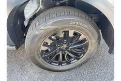 2025 GWM Cannon Vanta