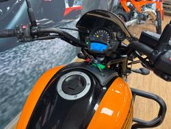 2019 Kawasaki VULCAN S CAFE (EN650E LAMS) ORANGE/BLACK