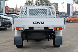 2025 GWM Cannon Premium