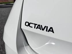 2025 SKODA Octavia RS NX MY25 Candy White