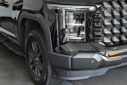 2025 LDV
Terron 9 Origin