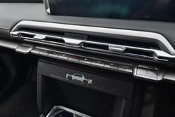 2025 LDV Terron 9 Origin