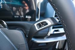 2025 LDV Terron 9 Origin