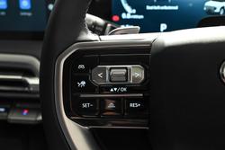 2025 LDV Terron 9 Origin