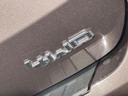 2023 Ford Everest Trend