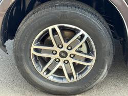 2023 Ford Everest Trend