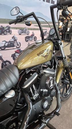 2017 Harley-davidson XL883N IRON 883 Olive Gold