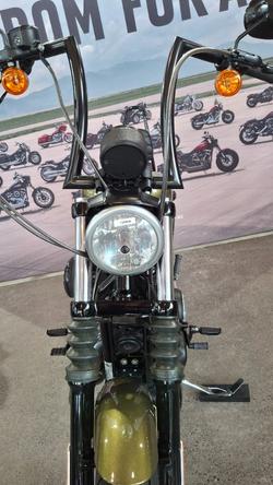 2017 Harley-davidson XL883N IRON 883 Olive Gold