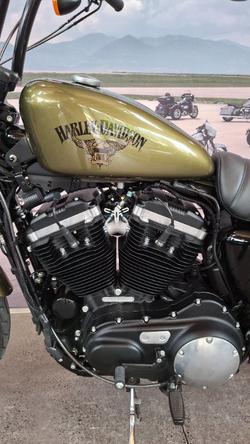 2017 Harley-davidson XL883N IRON 883 Olive Gold