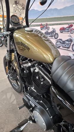 2017 Harley-davidson XL883N IRON 883 Olive Gold