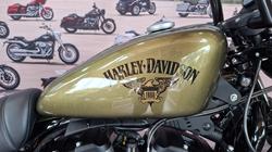 2017 Harley-davidson XL883N IRON 883 Olive Gold