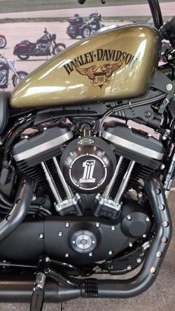2017 Harley-davidson XL883N IRON 883 Olive Gold