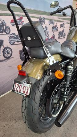 2017 Harley-davidson XL883N IRON 883 Olive Gold