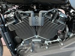 2024 Harley-davidson FXLRS LOW RIDER S (117) Vivid Black