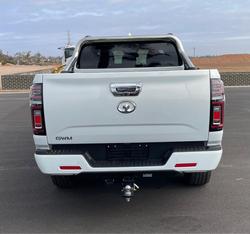 2024 GWM
Ute Cannon-X