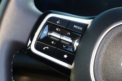 2024 Kia
                Carnival Sport