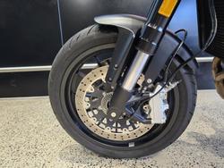 2024 Harley-Davidson X 500 X Black