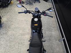 2024 Harley-Davidson X 500 X Black