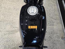 2024 Harley-Davidson X 500 X Black