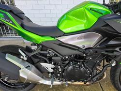 2025 Kawasaki Z500 Green