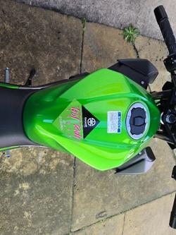 2025 Kawasaki Z500 Green