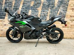 2025 KAWASAKI NINJA 500 (EX500G) ROAD GREY