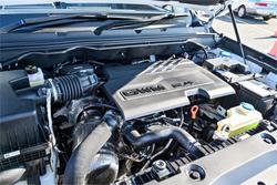 2025 GWM Cannon Vanta