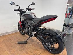 2021 Triumph 2021 Triumph 660CC TRIDENT GREY