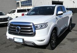 2022 GWM
                Ute Cannon
