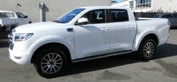 2022 GWM
                Ute Cannon