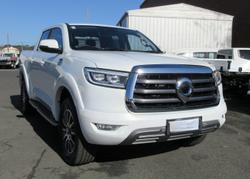 2022 GWM
                Ute Cannon