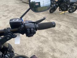 2017 HARLEY-DAVIDSON FXDLS LOW RIDER S Black