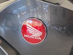 2023 Honda NT1100 NT Black