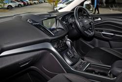 2019 Ford Escape Trend ZG MY19.25 AWD WHITE