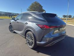 2024 Lexus
RX 350h Sports Luxury