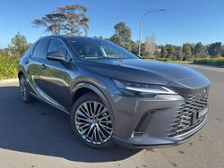2024 Lexus
                RX 350h Sports Luxury